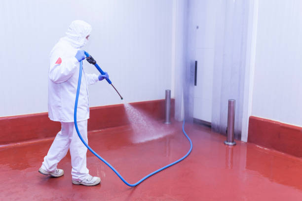 Best Winterizing Services  in Miami Beach, FL