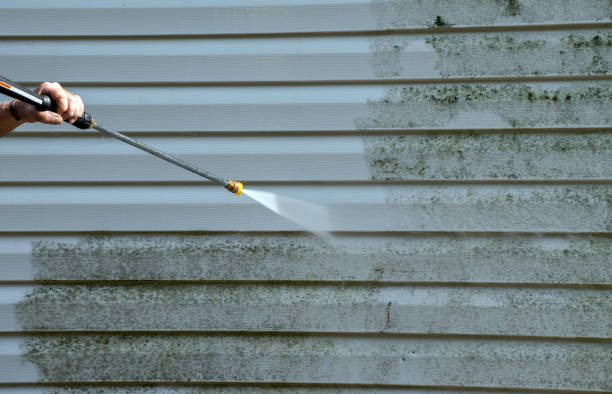 Best Building Exterior Washing  in Miami Beach, FL